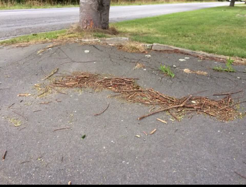 The photograph attached to this roading/streets report