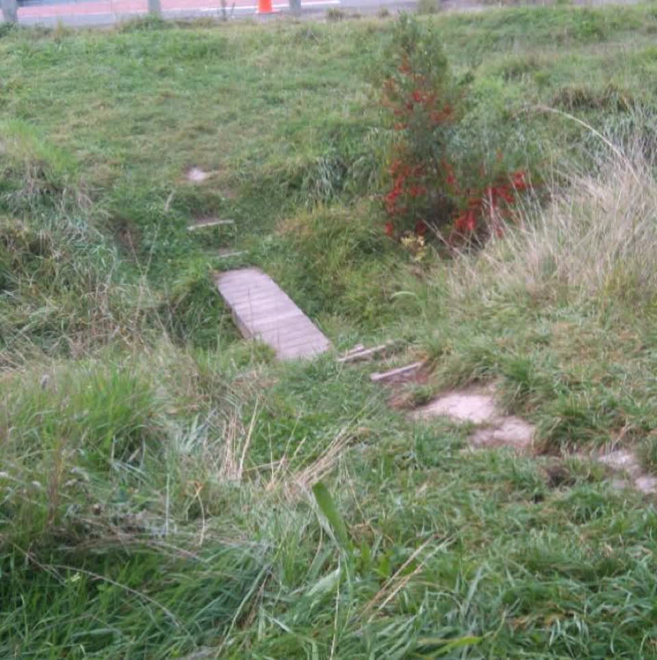 The photograph attached to this parks report