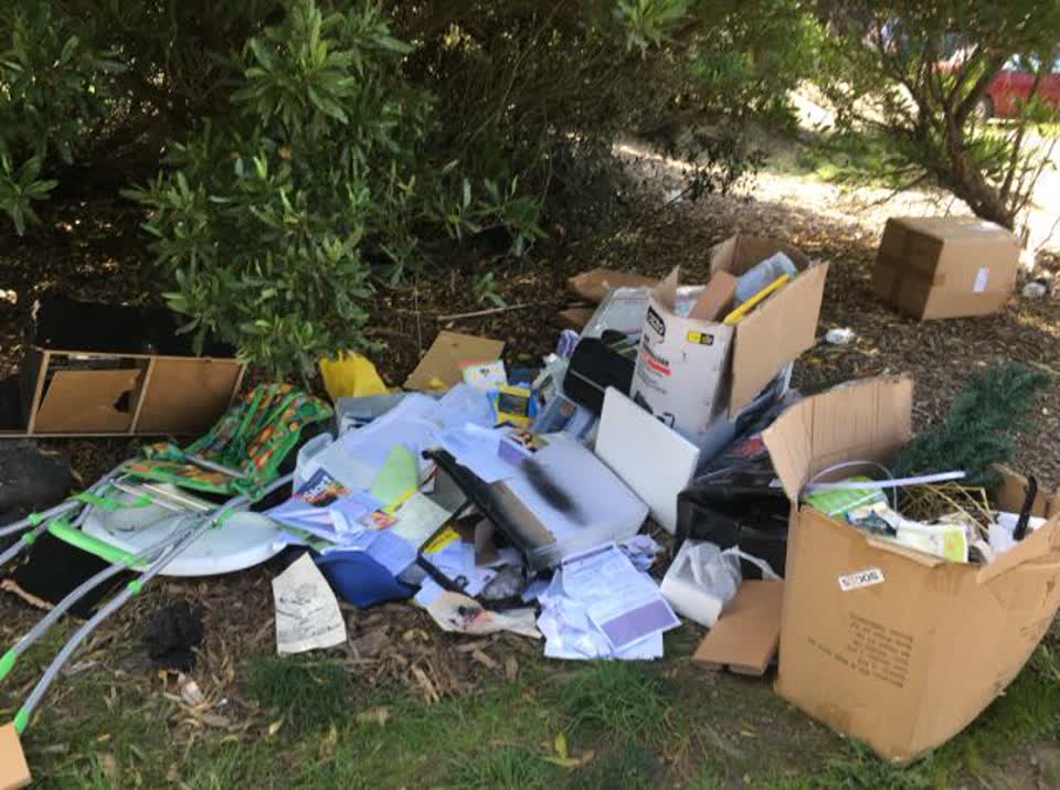 The photograph attached to this parks report