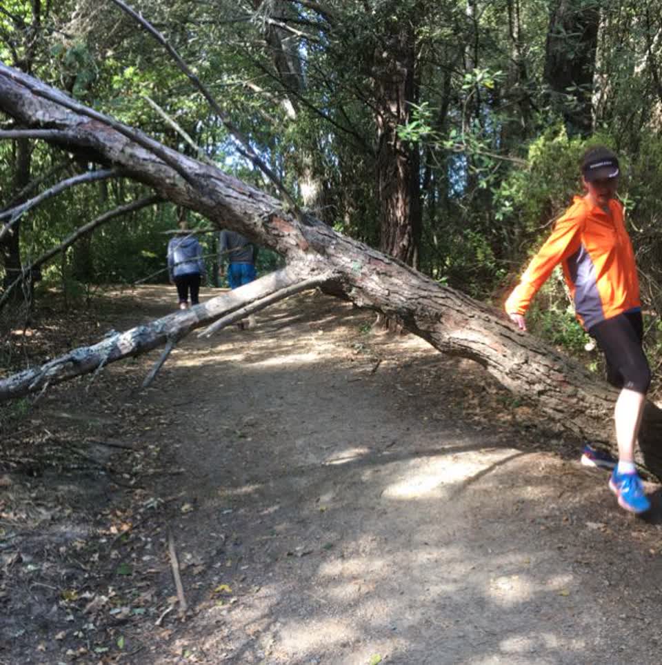 The photograph attached to this parks report