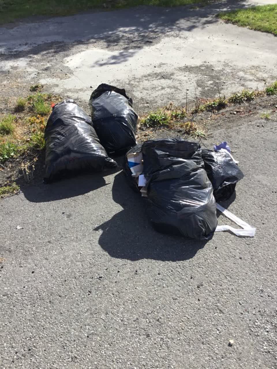 The photograph attached to this rubbish/recycling report