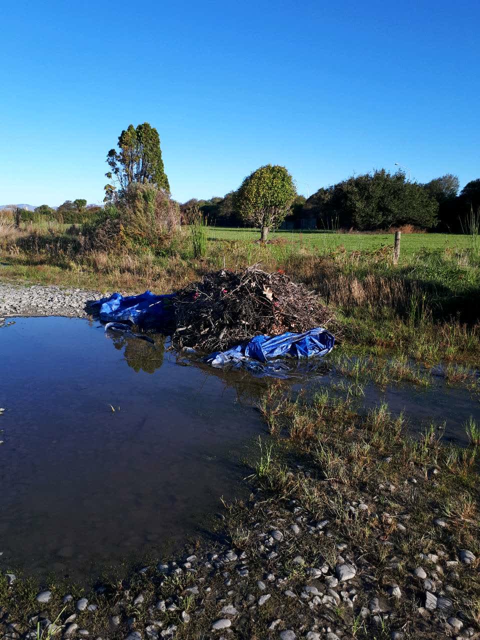 The photograph attached to this rubbish/recycling report