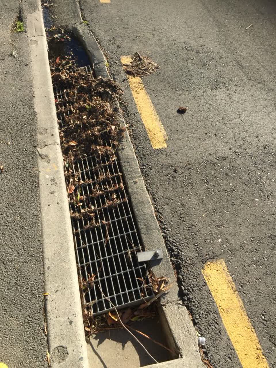 The photograph attached to this roading/streets report
