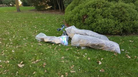 Rubbish/Recycling, a report photo