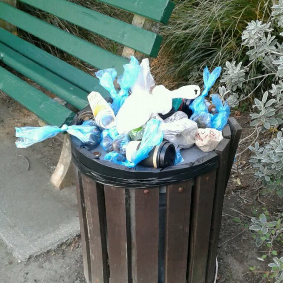 The photograph attached to this rubbish/recycling report