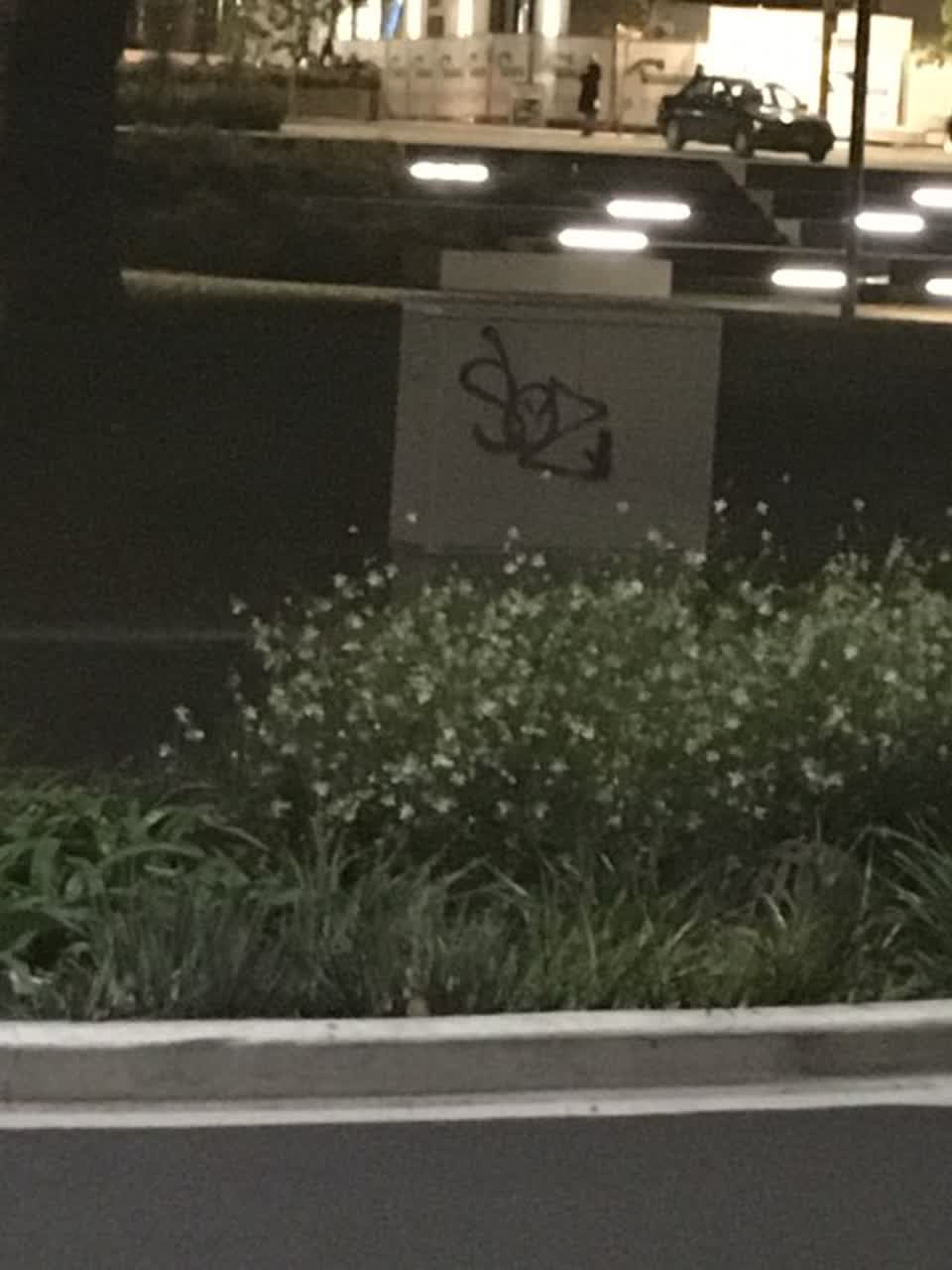 The photograph attached to this graffiti report