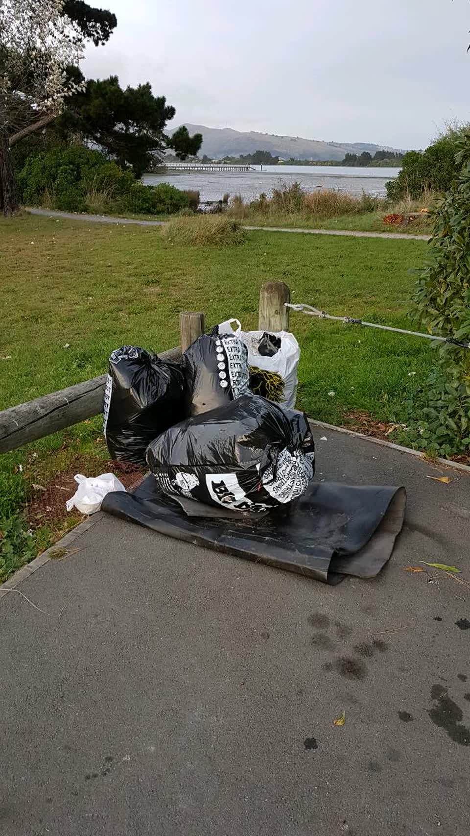 The photograph attached to this rubbish/recycling report