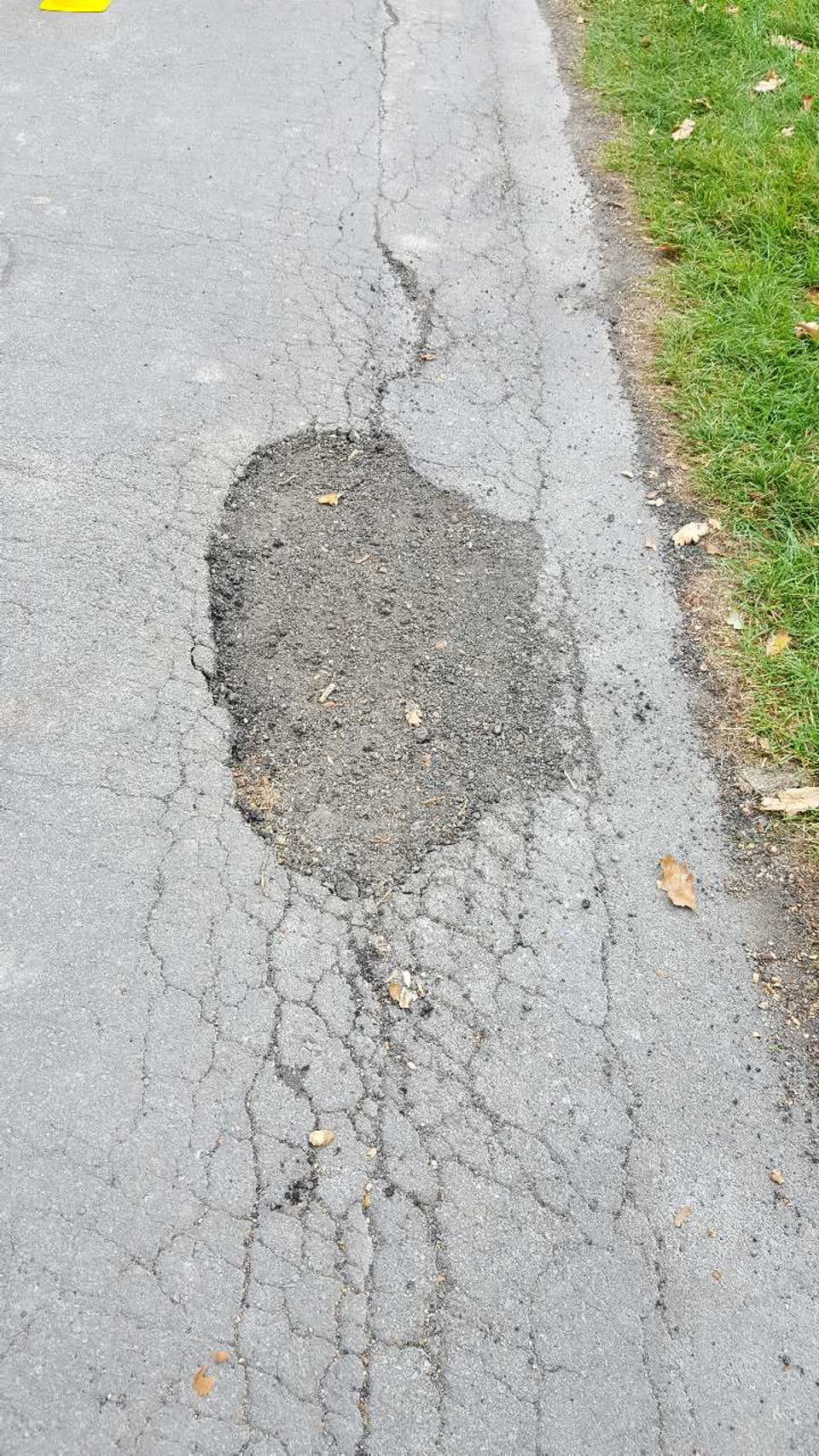 The photograph attached to this parks report