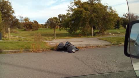 Rubbish/Recycling, a report photo