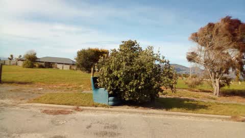 Rubbish/Recycling, a report photo