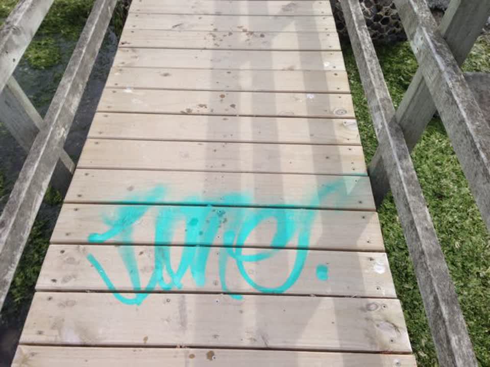 The photograph attached to this graffiti report