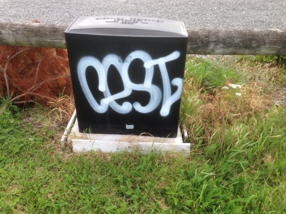The photograph attached to this graffiti report