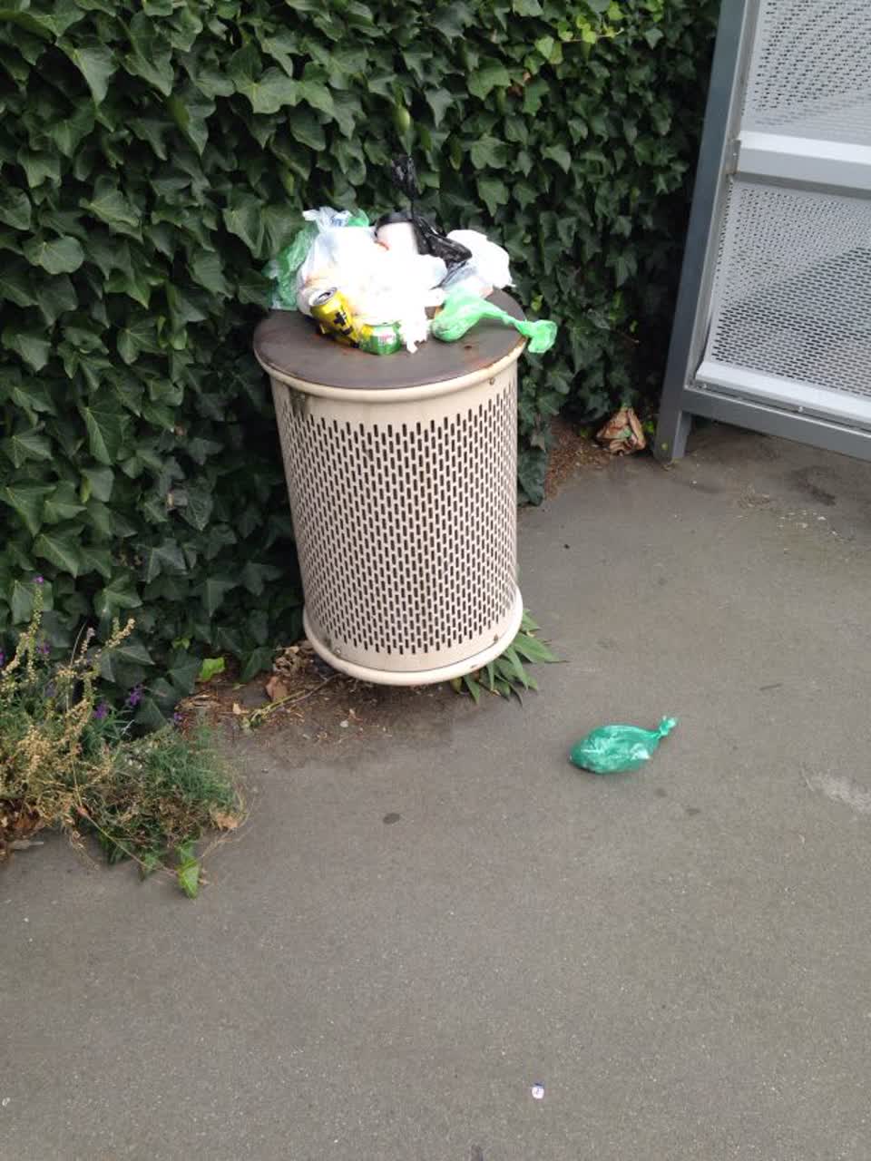 The photograph attached to this rubbish/recycling report