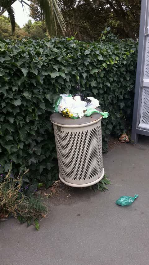 Rubbish/Recycling, a report photo