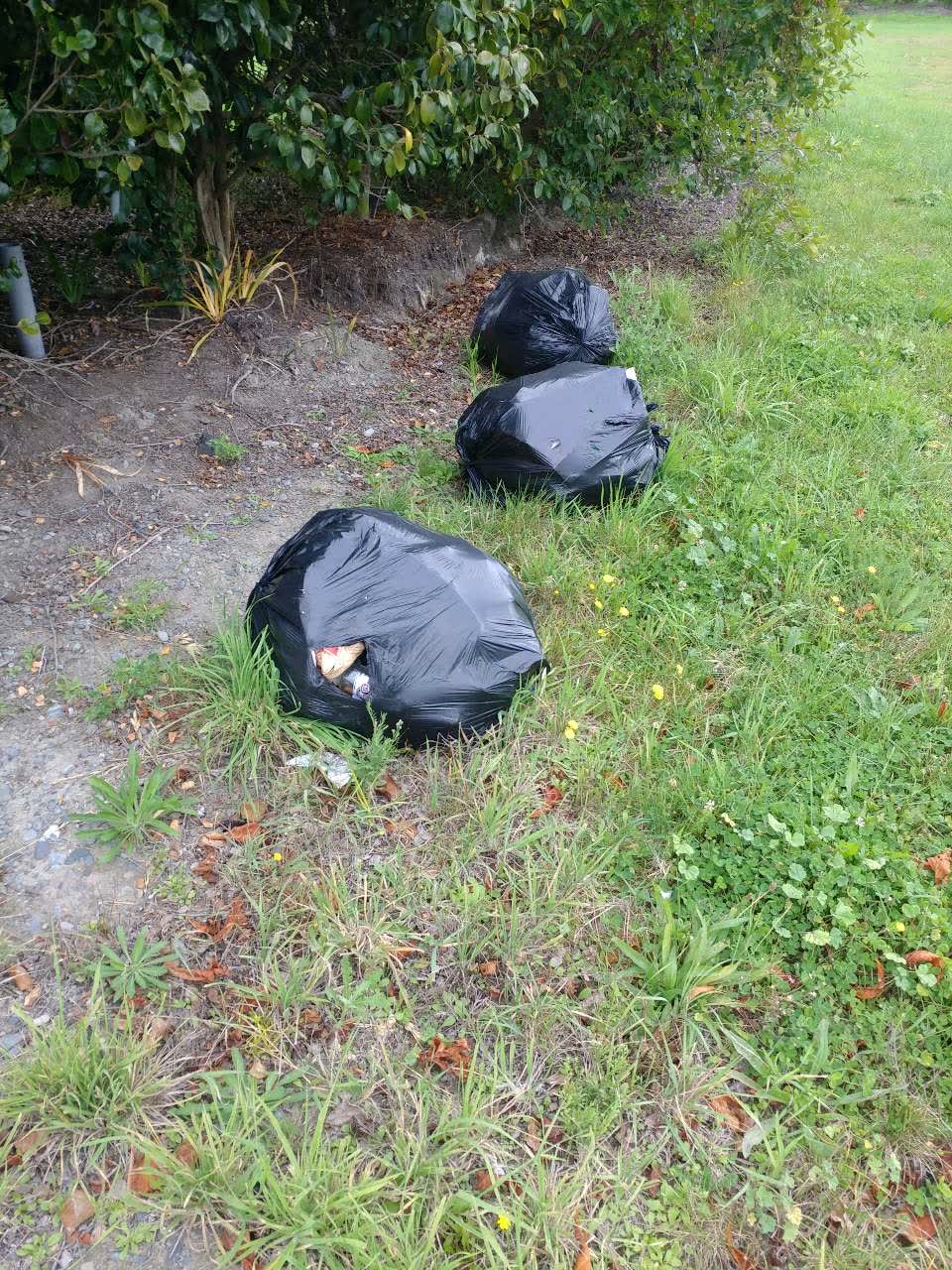 The photograph attached to this rubbish/recycling report
