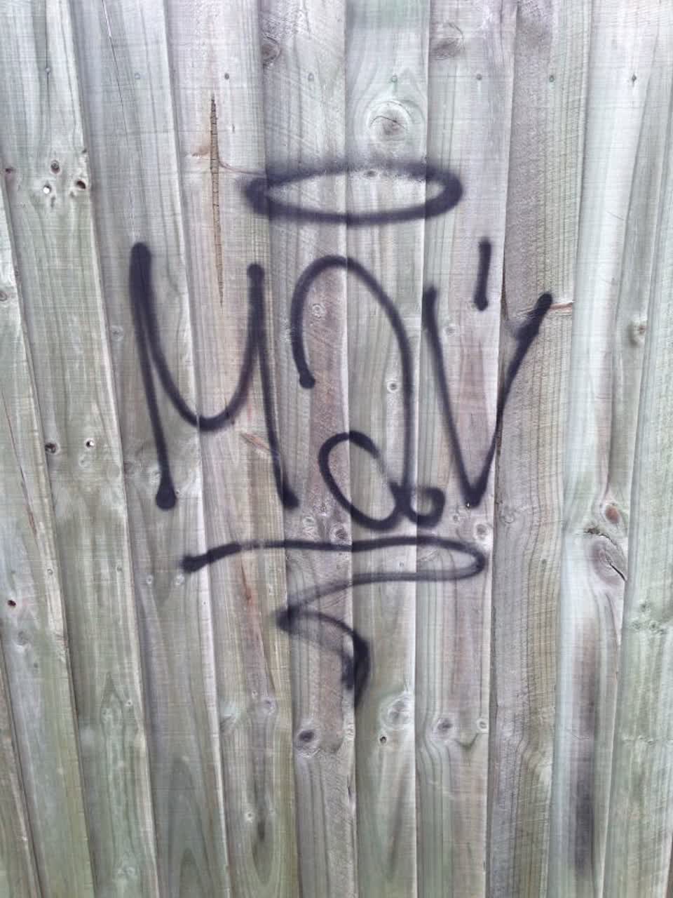 The photograph attached to this graffiti report