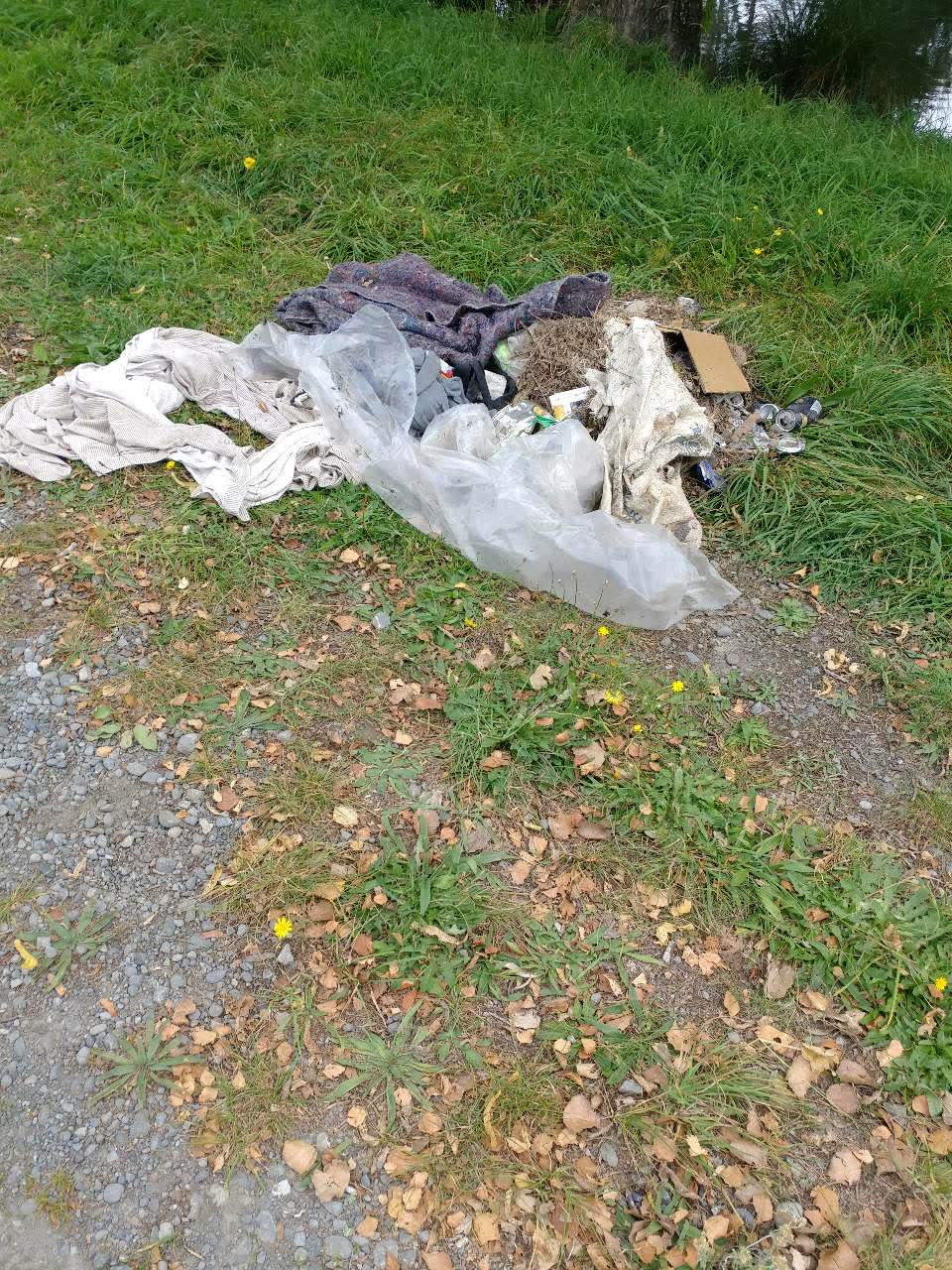 The photograph attached to this rubbish/recycling report