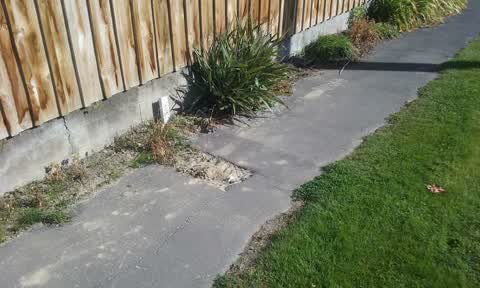 Roading/Streets, a report photo