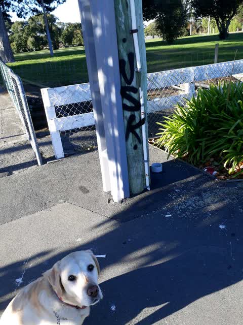Graffiti — a report photo