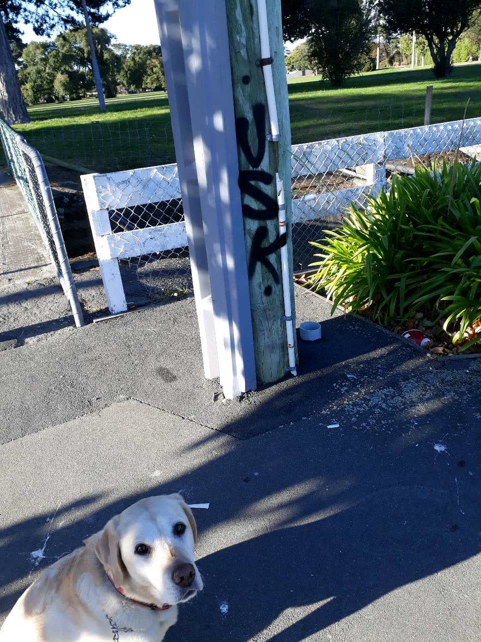 The photograph attached to this graffiti report