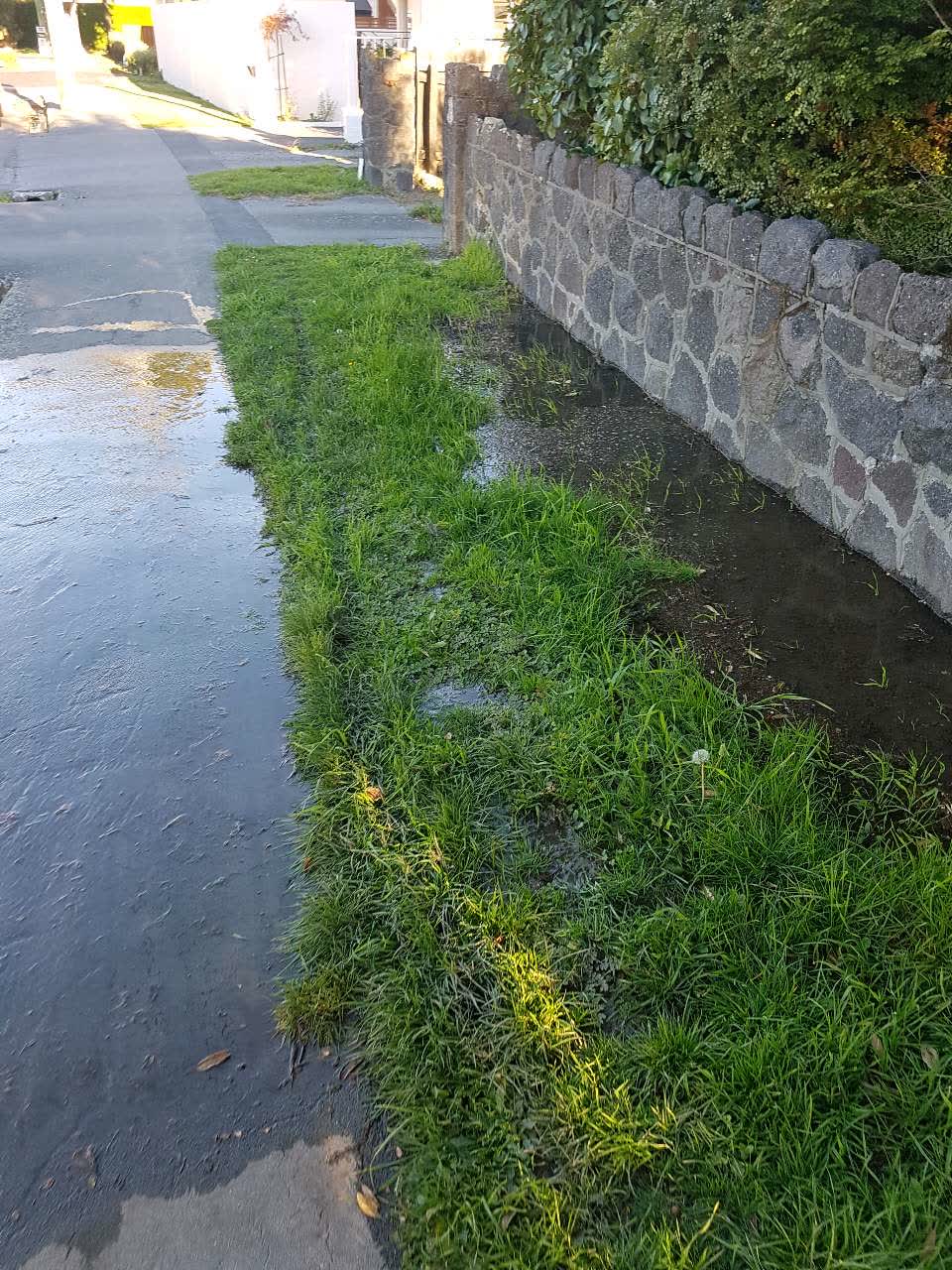 The photograph attached to this water supply report