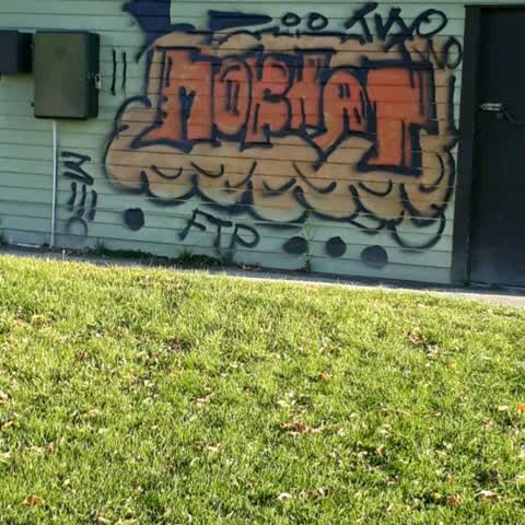 Graffiti, a report photo