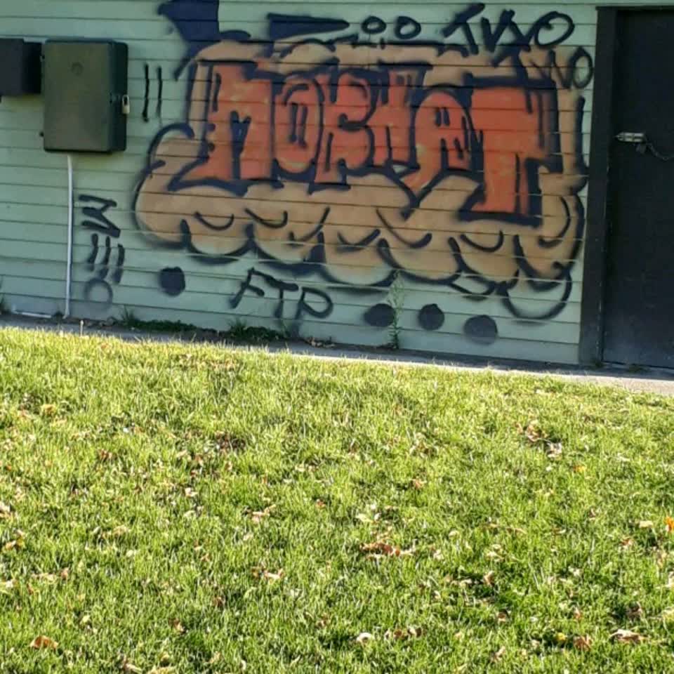 The photograph attached to this graffiti report