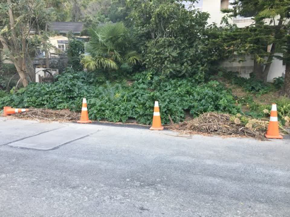 The photograph attached to this roading/streets report