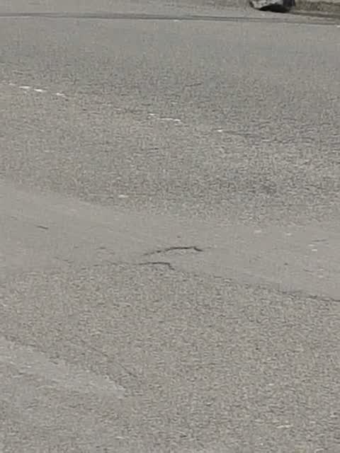 Roading/Streets, a report photo