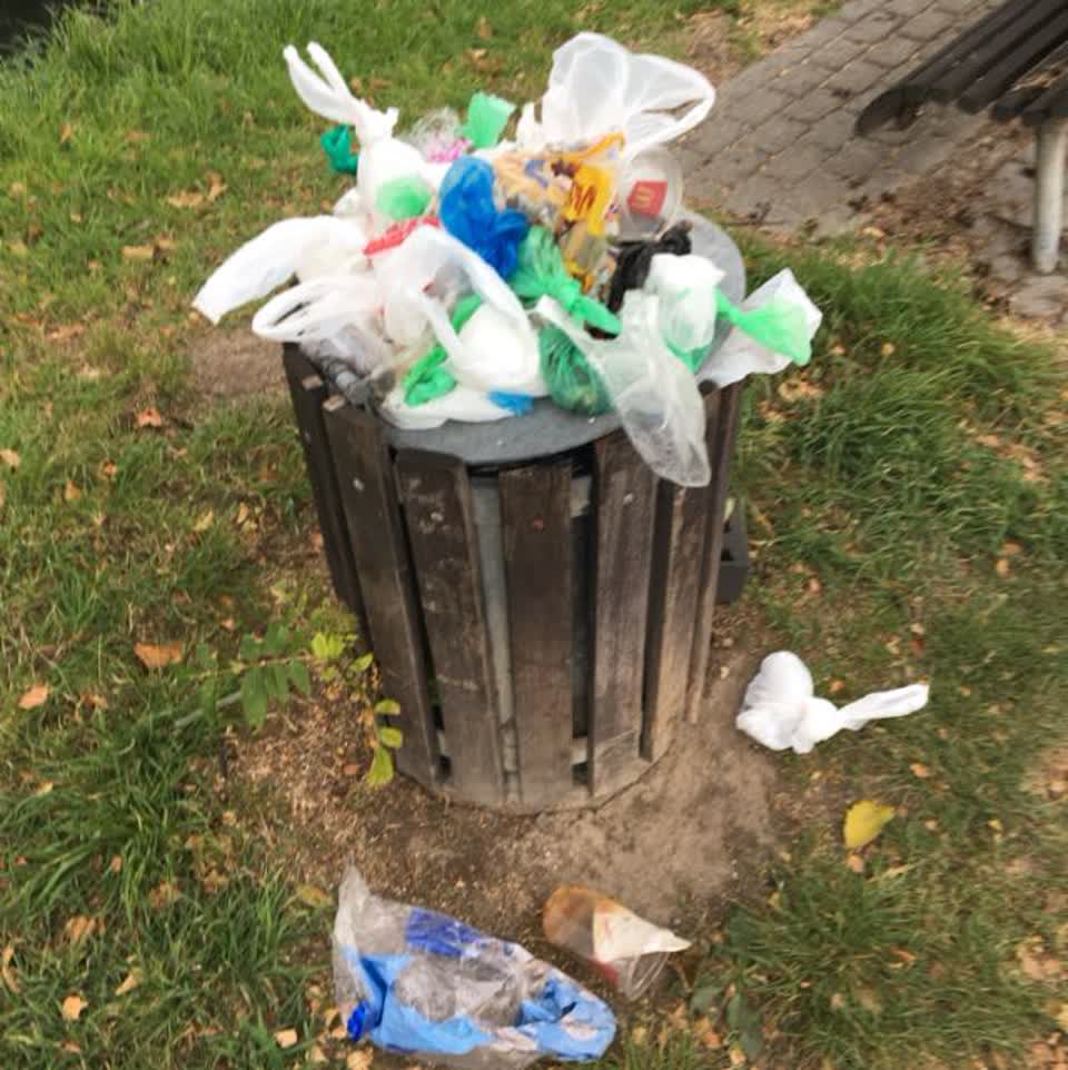 The photograph attached to this rubbish/recycling report