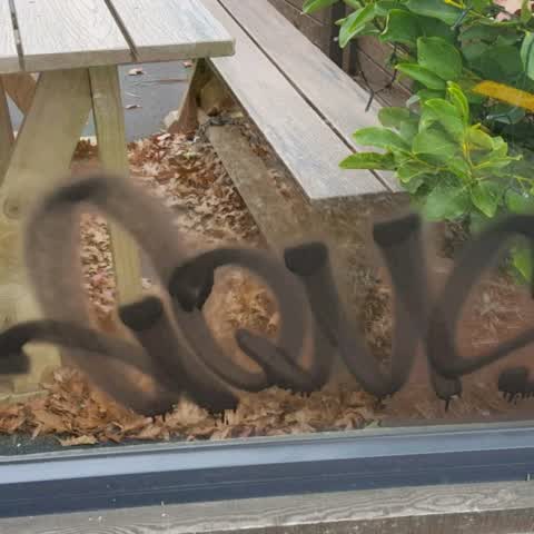 Graffiti, a report photo
