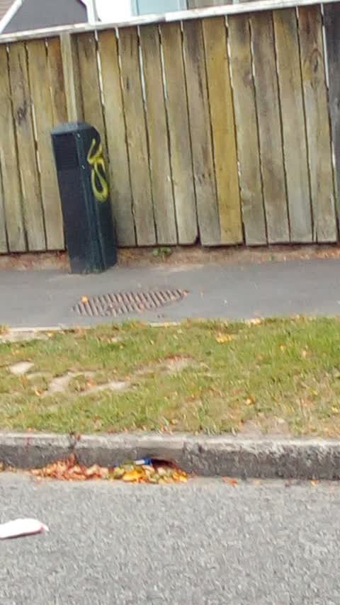 Graffiti, a report photo