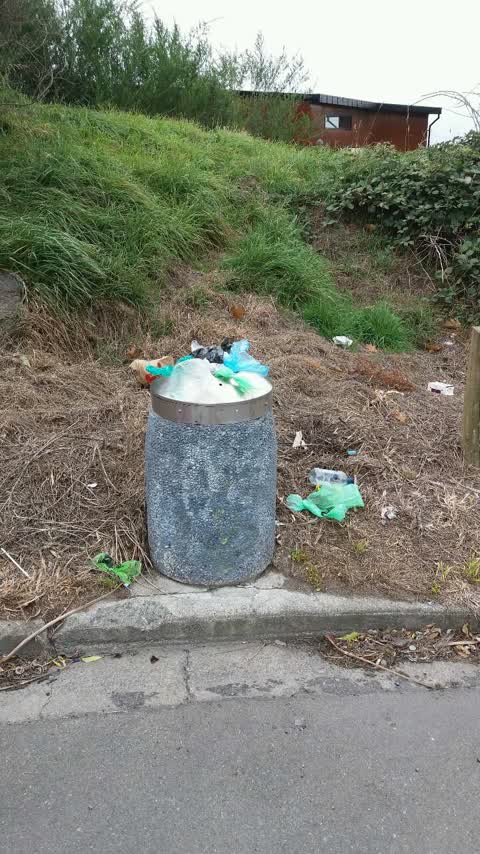 Rubbish/Recycling, a report photo