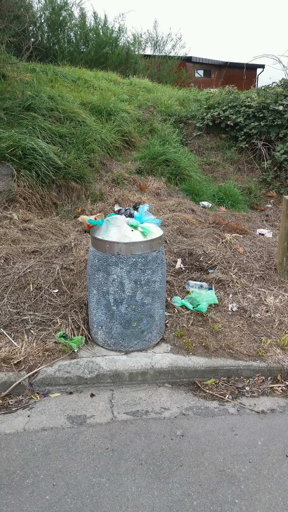 The photograph attached to this rubbish/recycling report