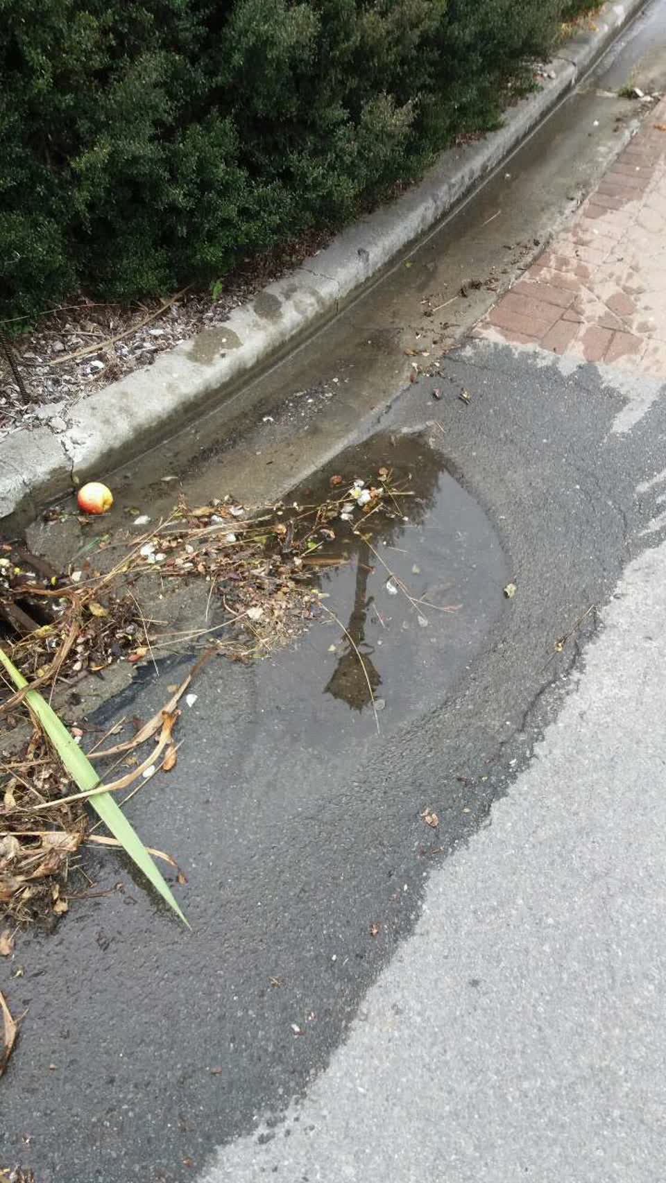 The photograph attached to this roading/streets report