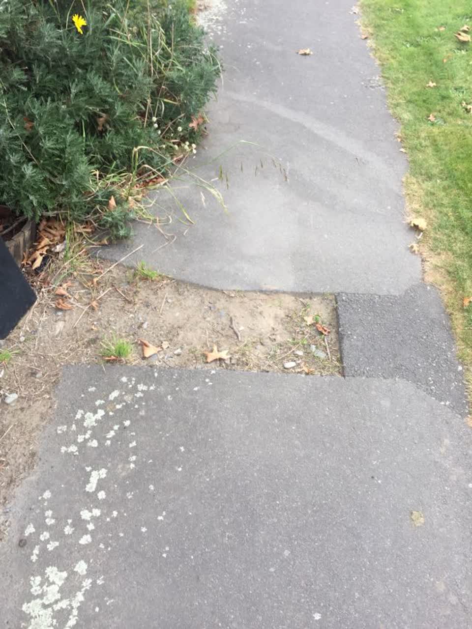 The photograph attached to this roading/streets report