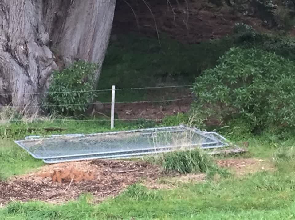 The photograph attached to this parks report