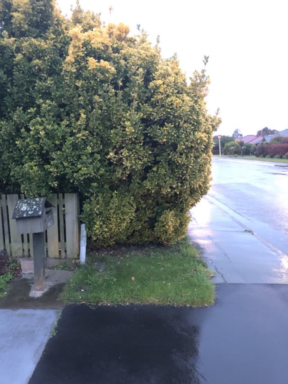 The photograph attached to this wastewater/stormwater report