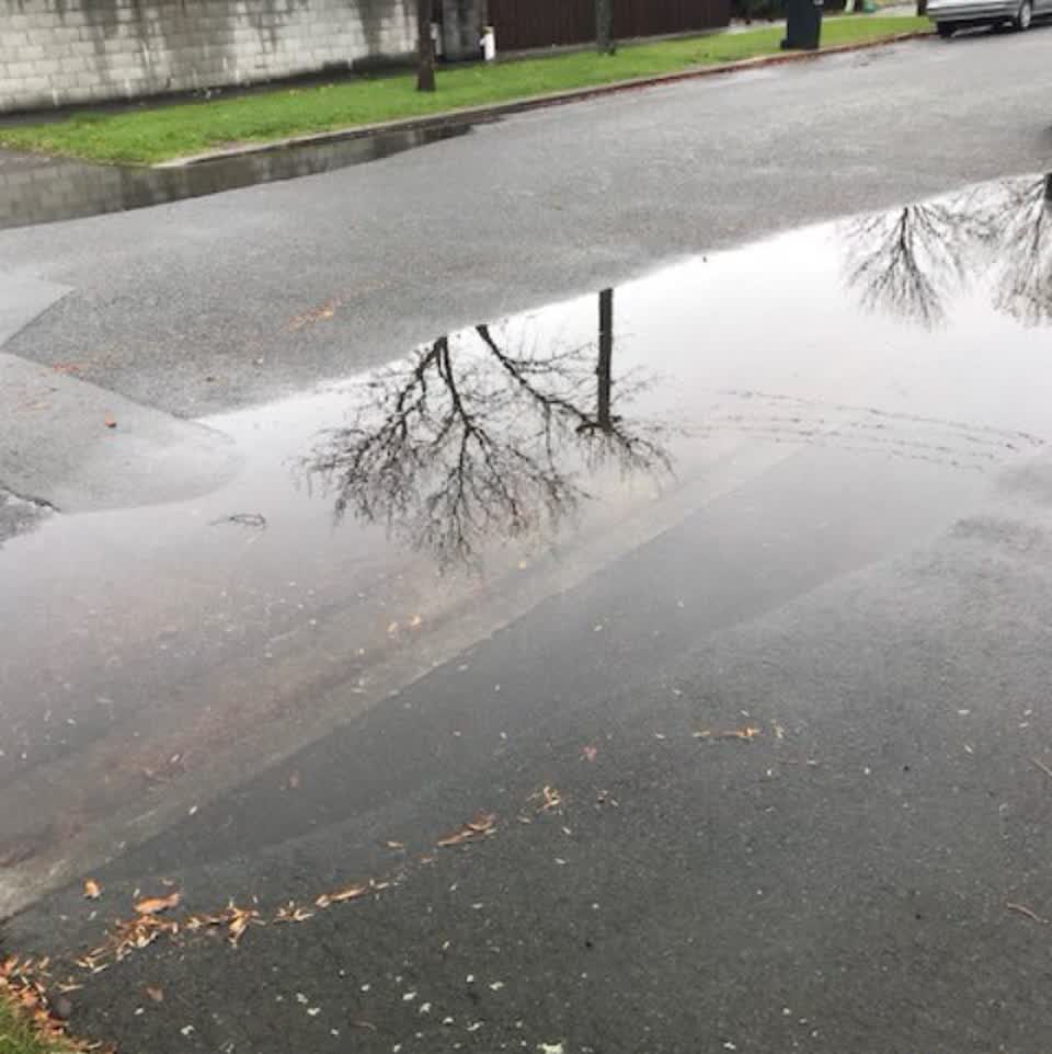 The photograph attached to this flooding report