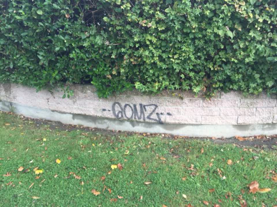 The photograph attached to this graffiti report