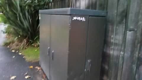 Graffiti — a report photo