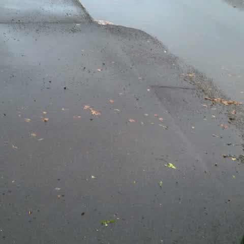 Flooding, a report photo