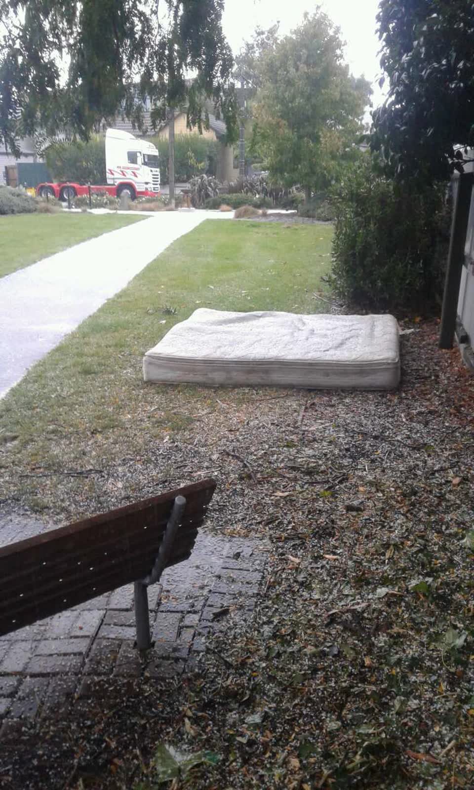 The photograph attached to this parks report