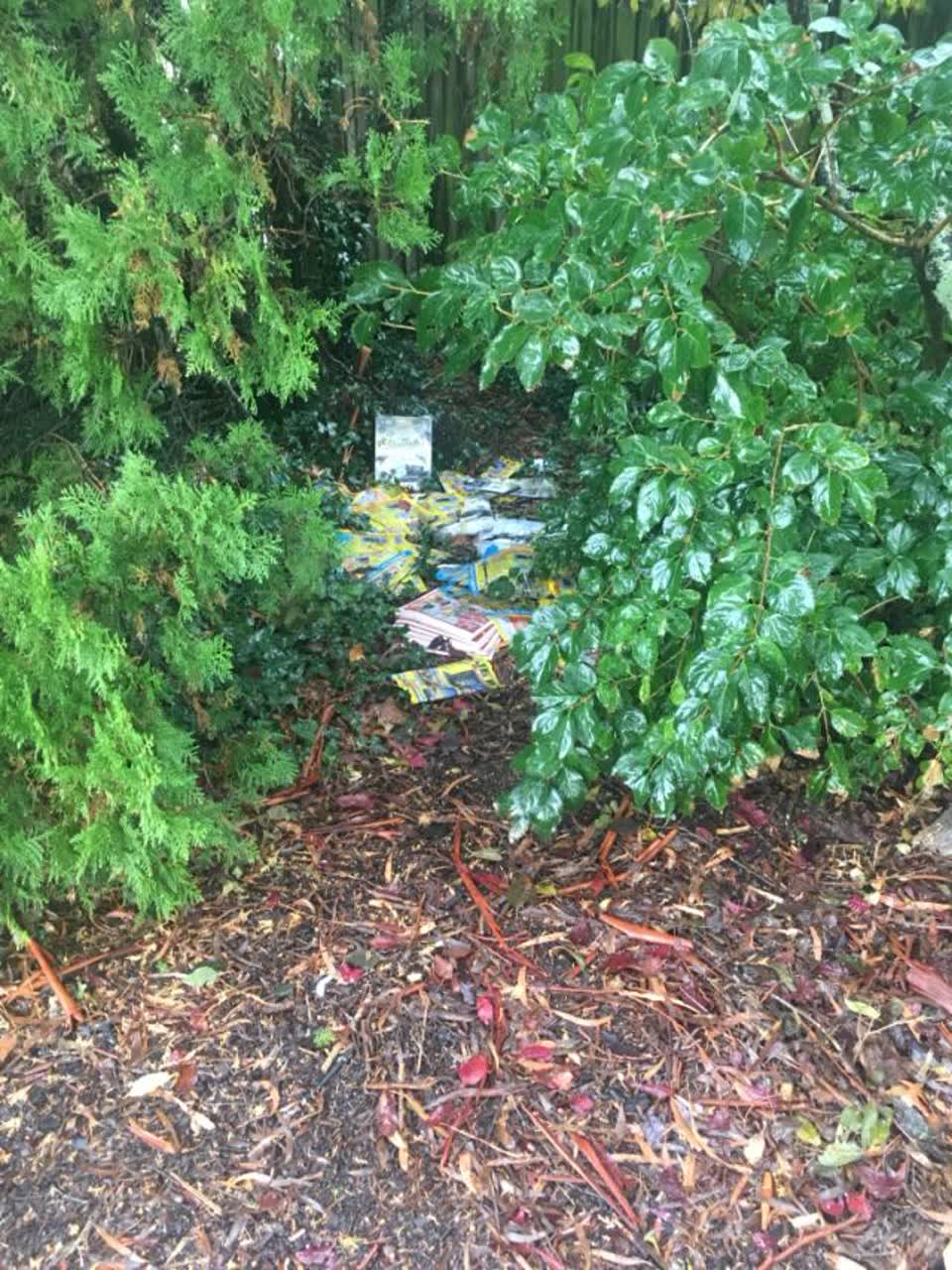 The photograph attached to this parks report