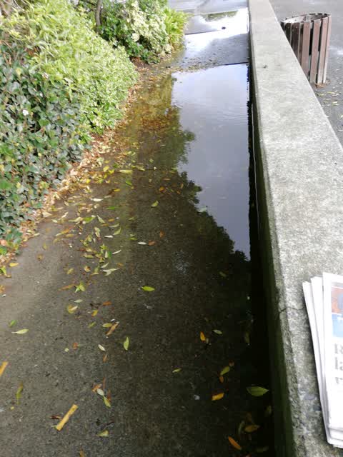 Flooding, a report photo
