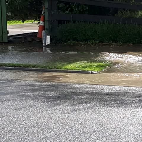Flooding, a report photo