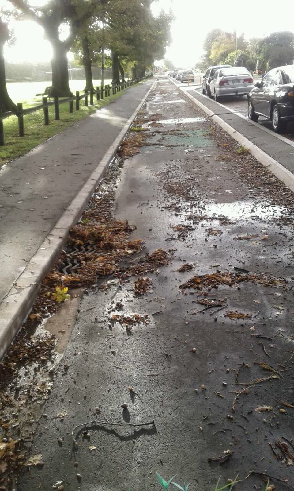 The photograph attached to this roading/streets report