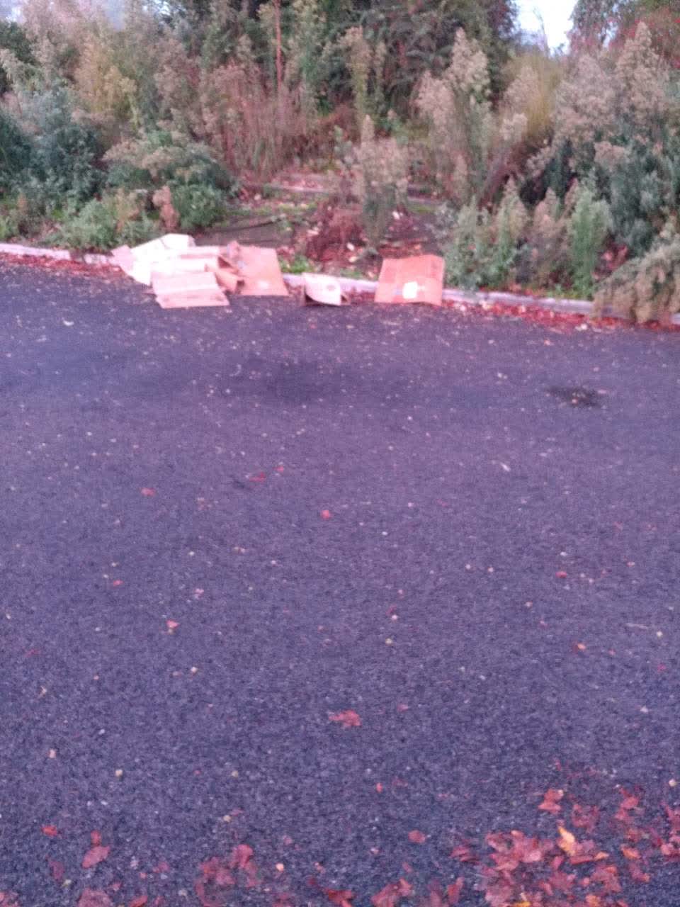 The photograph attached to this rubbish/recycling report
