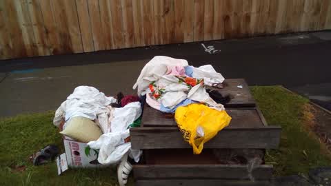 Rubbish/Recycling — a report photo