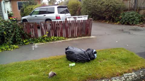 Rubbish/Recycling, a report photo